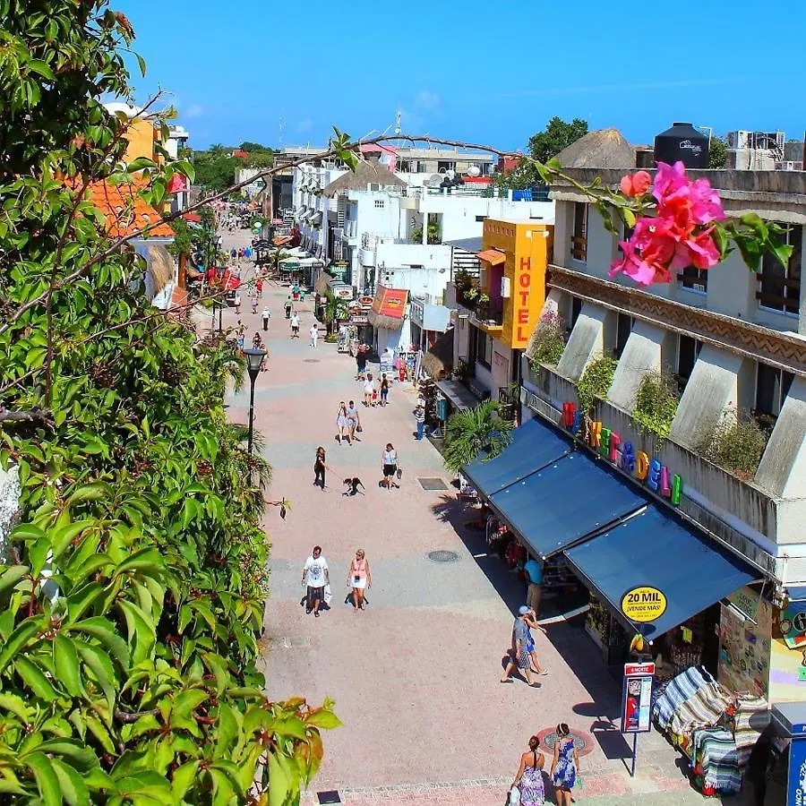 Boutique Hotel Delfin 5Th Avenue Playa del Carmen