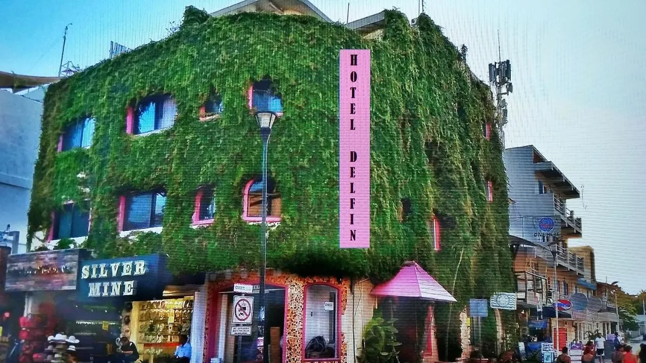 Boutique Hotel Delfin 5Th Avenue 신데 델 카르멘