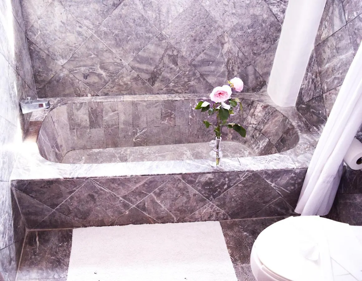 Boutique Hotel Delfin 5Th Avenue Playa del Carmen